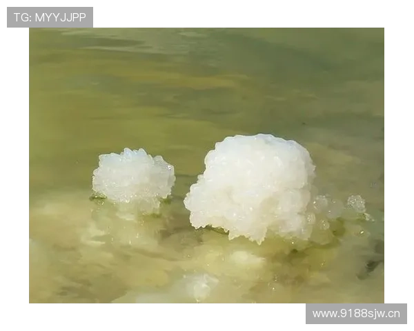 《深入剖析体育赛事背后的战术布局与球员心理素质》 - 副本 - 副本 - 副本 《深入剖析体育赛事背后的战术布局与球员心理素质》 - 副本 - 副本 - 副本